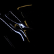 Illustration for article titled The 2021 Maserati MC20 Could Be The Most Interesting Thing Maserati Has Done In Years